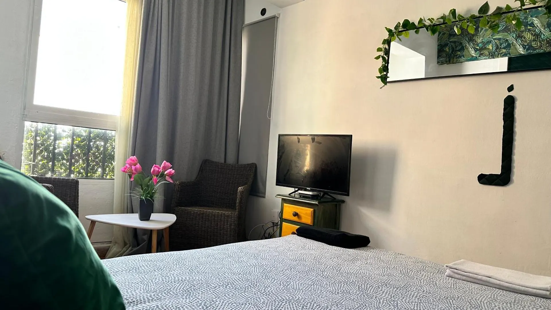Habitaciones Jungla Algeciras Affittacamere